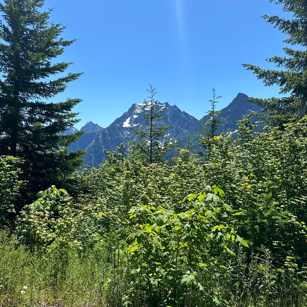 Meet your Posher, Yuliya